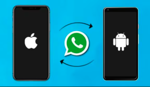 Read more about the article Panduan Memindahkan WA dari Android ke iPhone